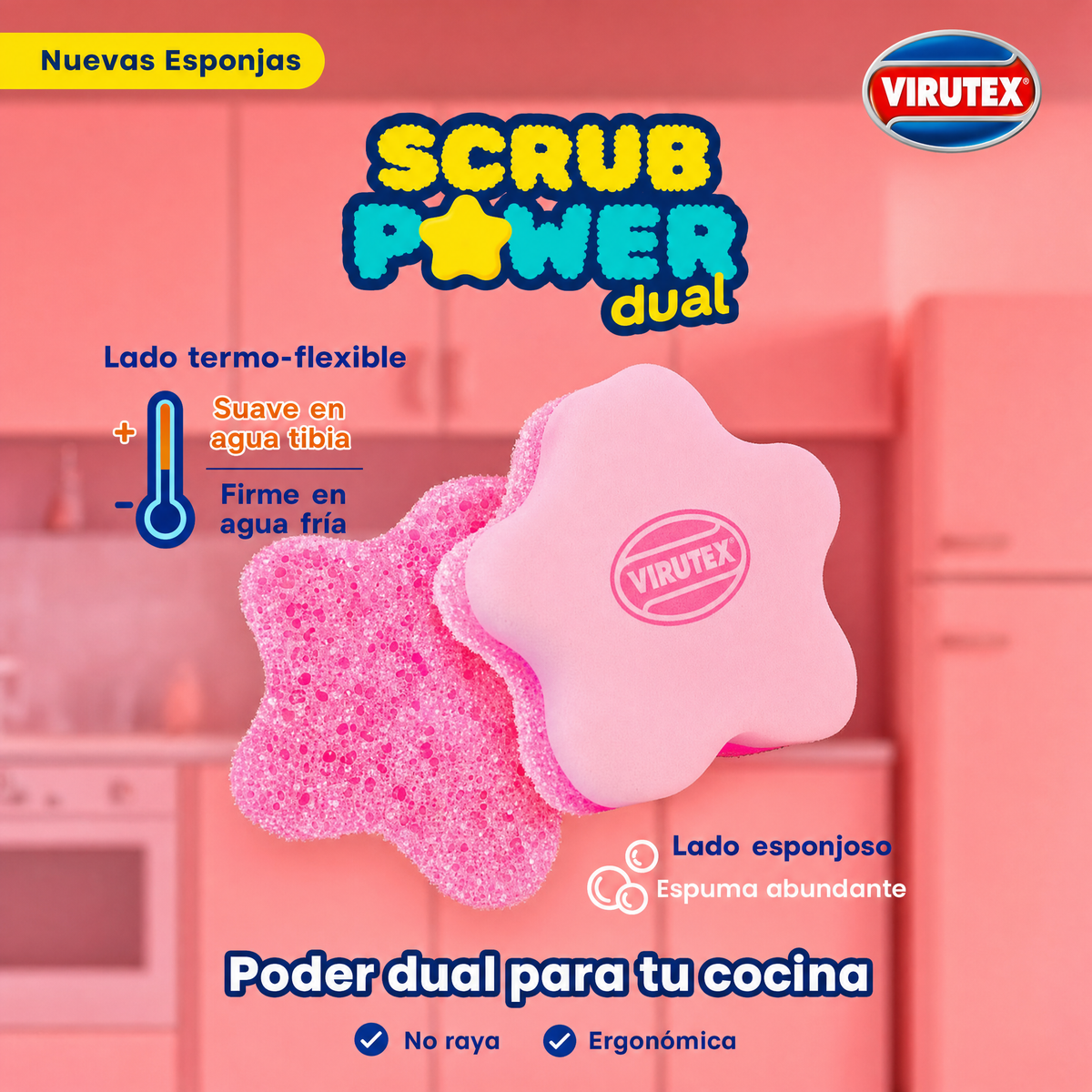 Esponja Scrub Power Dual Virutex