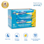 Trapo de Piso Descartable (10u.) Impeke